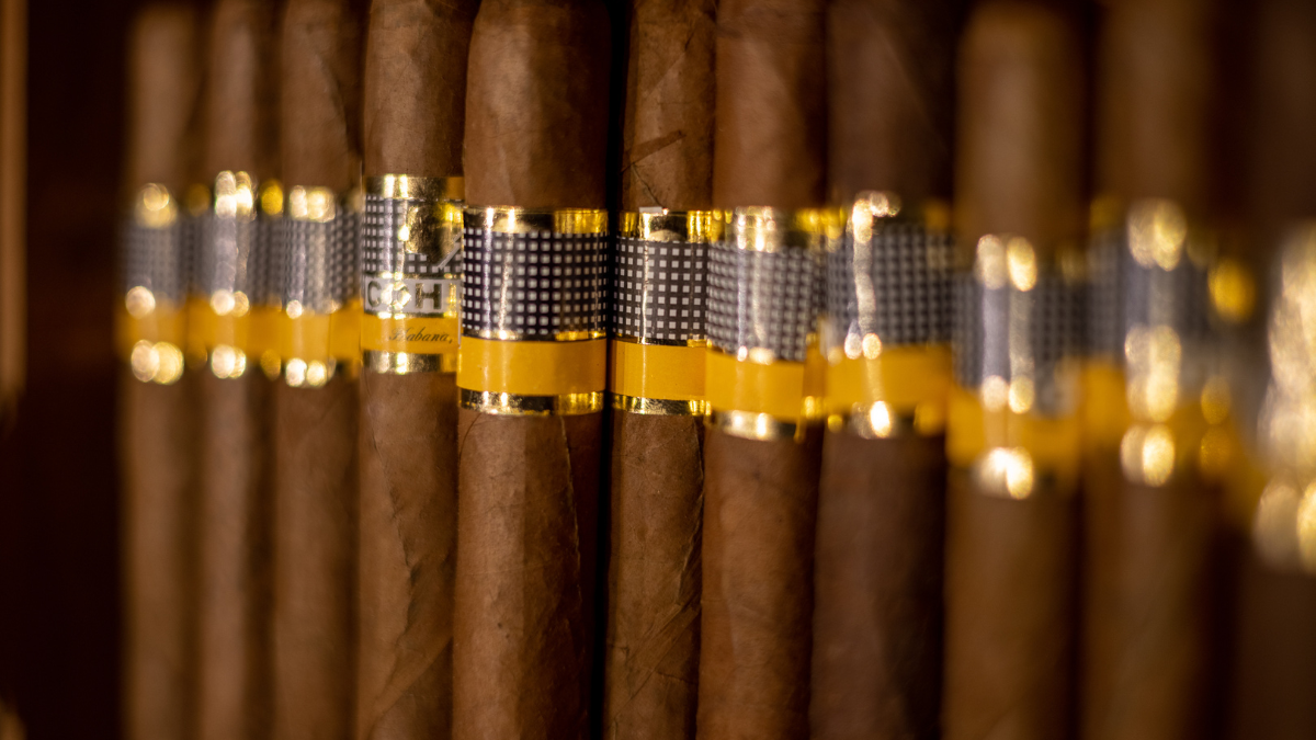 Premium Cigar Collection