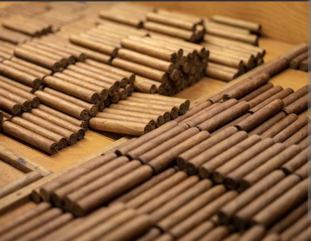 Artisan Cigar Arrangement - Premium Production Scale