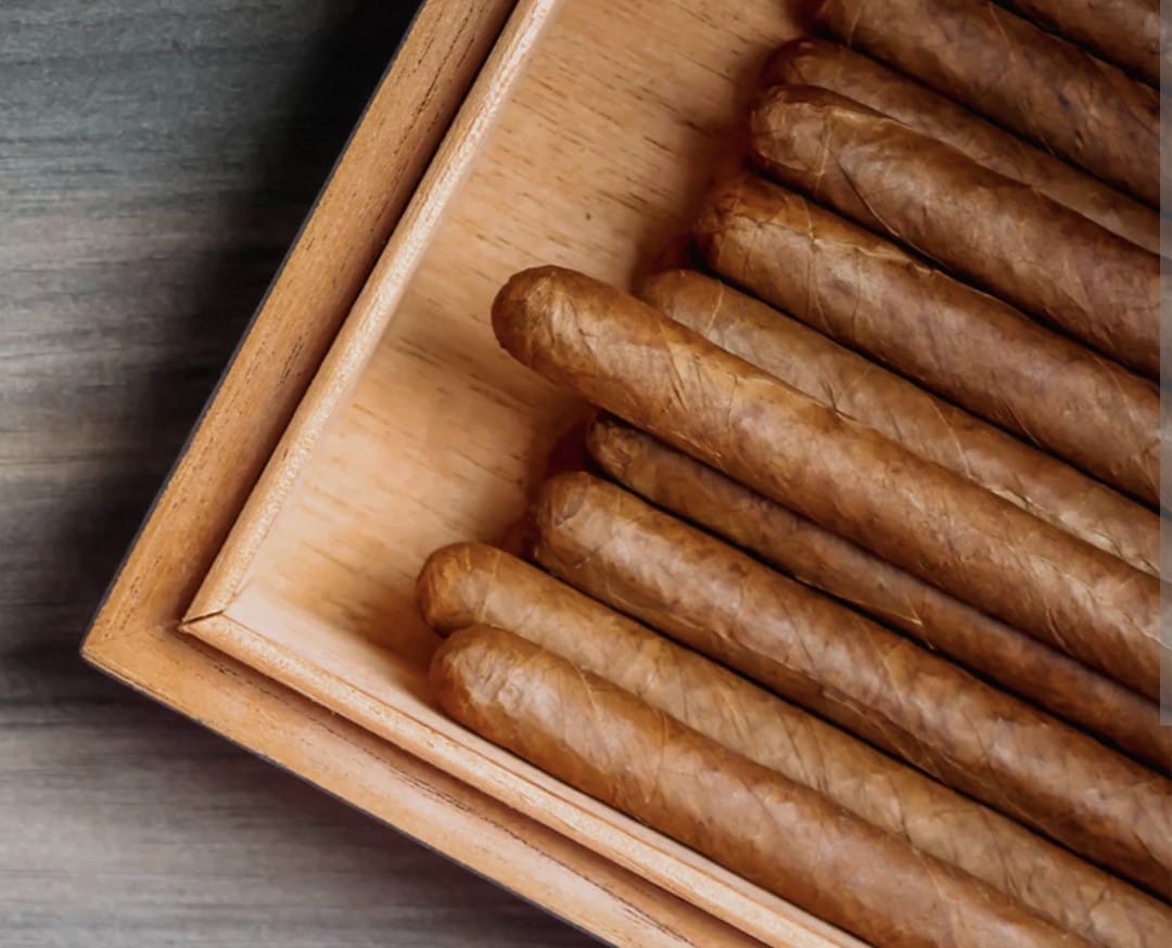 Humidor Storage - Premium Cigar Care